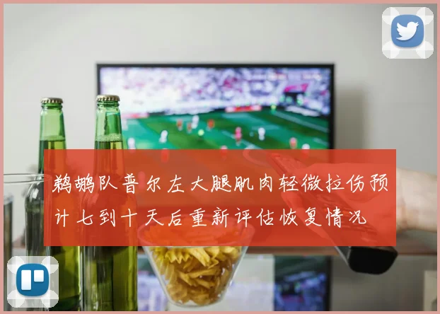 鹈鹕队普尔左大腿肌肉轻微拉伤预计七到十天后重新评估恢复情况