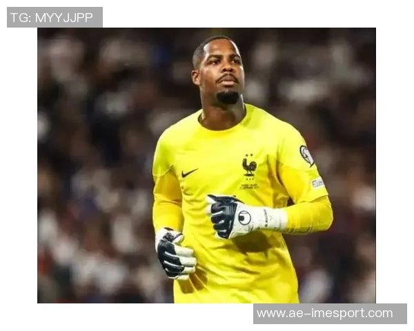 尤文图斯计划明夏免签米兰门将迈尼昂已展开评估工作